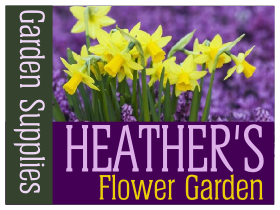 480-5c-contractor-template-purple-yellow-green-heathers-flower-garden.png -|- Last modified: 2013-10-23 21:52:58 